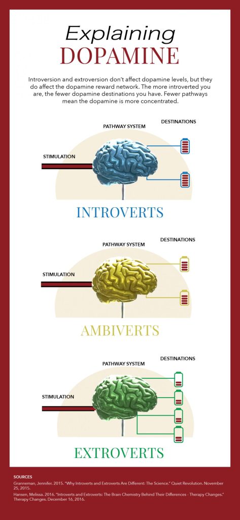 Explaining dopamine: Introversion and extroversion don’t affect dopamine levels, but they do affect the dopamine reward network. The more introverted you are, the fewer dopamine destinations you have. Fewer pathways mean the dopamine is more concentrated.