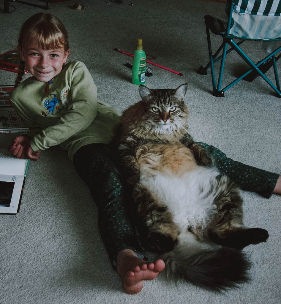 Little girl with a big cat