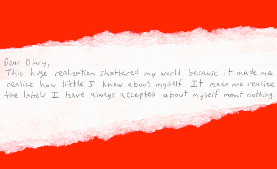 "Dear Diary; This huge realization shattered my world because it made me realize how little I know about myself. It made me realize the labels I have always accepted about myself meant nothing."