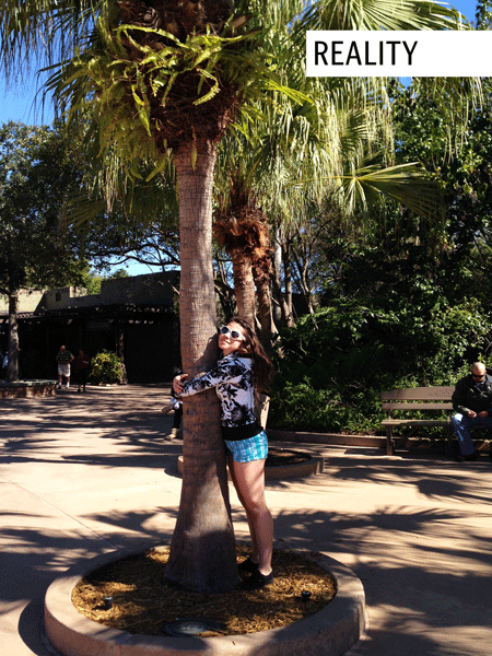 An animated gif of Samantha hugging a tree.  Alternating between "Perception" and "Reality". In "Perception" her legs are thicker.