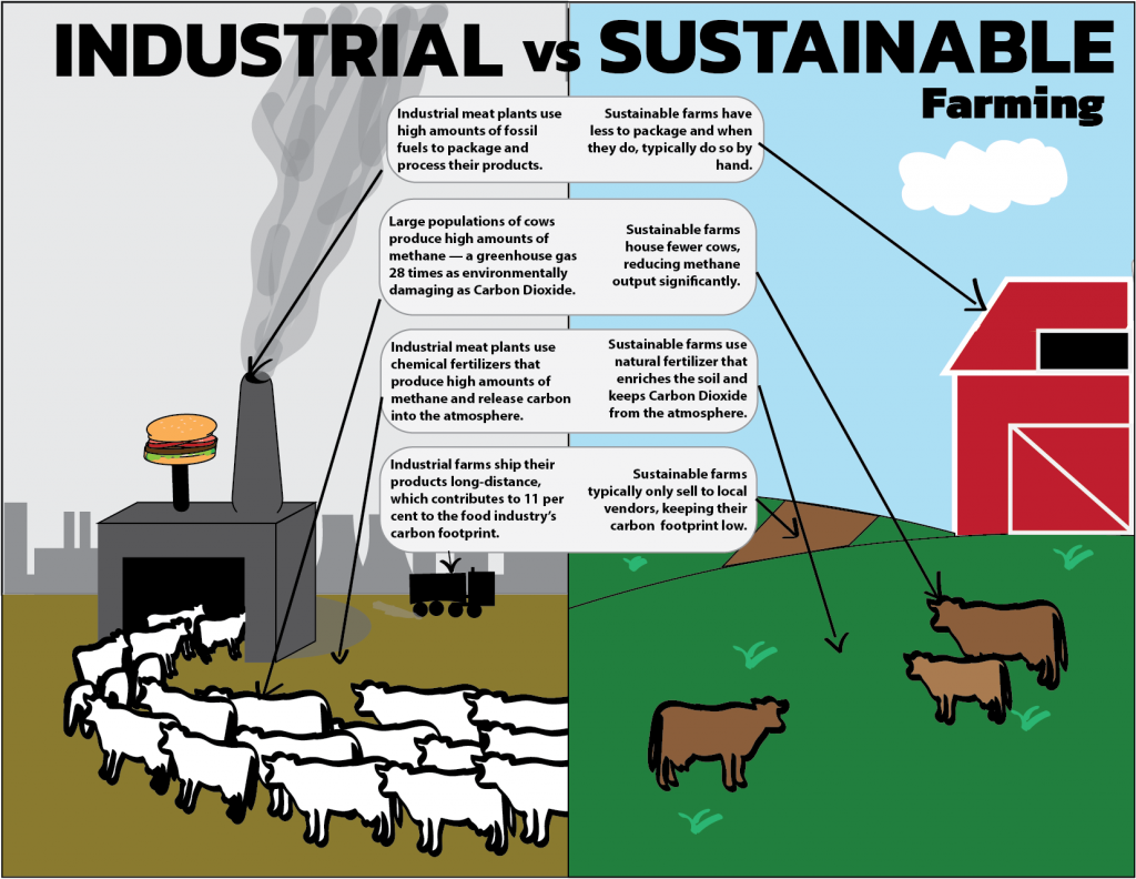 Industrial vs Sustainable Farming
Industrial meat plants use high amounts of fossil fuels to package and process their products. / Sustainable farms have less to package and when they do, typically do so by hand.
Large populations of cows produce high amounts of methane – a green house gas 28 times as environmentally damaging as Carbon Dioxide. / Sustainable farms house fewer cows, reducing methane output significantly.
Industrial meat plants use chemical fertilizers that produce high amounts of methane and release carbon into the atmosphere. / Sustainable farms use natural fertilizer that enriches the soil and keeps Carbon Dioxide from the atmosphere.
Industrial farms ship their products long-distance, which contributes to 11% to the food industry's carbon footprint. / Sustainable farms typically only sell to local vendors, keeping their carbon footprint low.