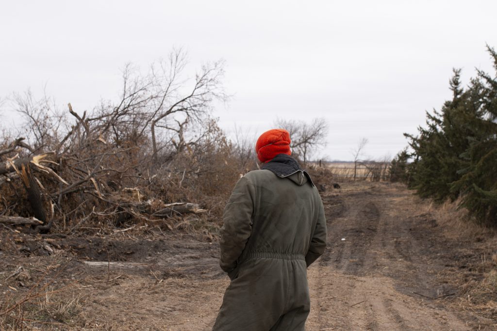 Man looks at a line of snapped trees