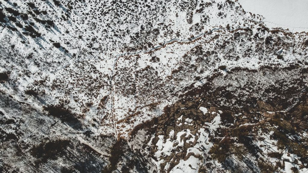 McGillivry Falls Trail from above: trees and snow with foot tracks visible meandering through.