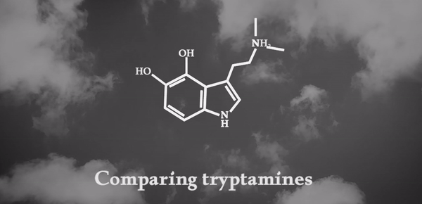 Comparing tryptamines, serotonin, psilocin, and DMT, showing their overlap.