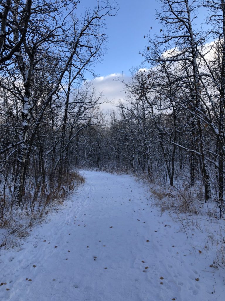 A narrow snow-covered walking path with trees on either side.