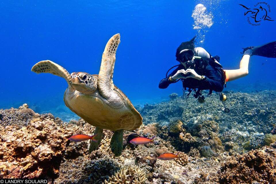 Underwater a scuba diver makes a heart with their hands beside a sea turtle.