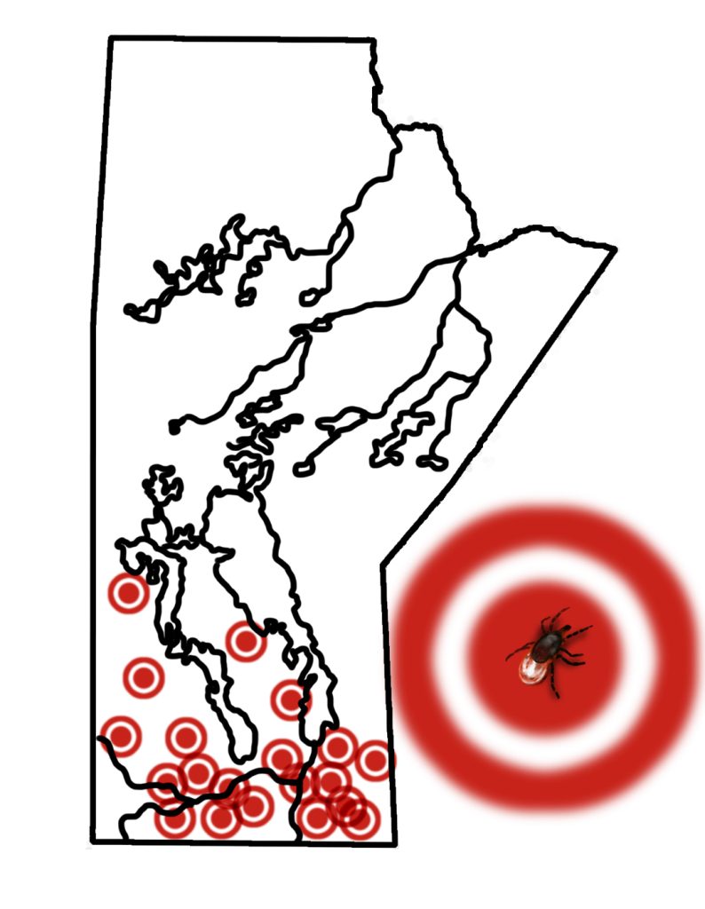 A map with the approximate blacklegged tick risk distribution in Manitoba