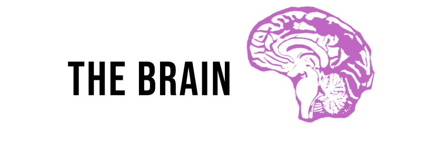 "The Brain"