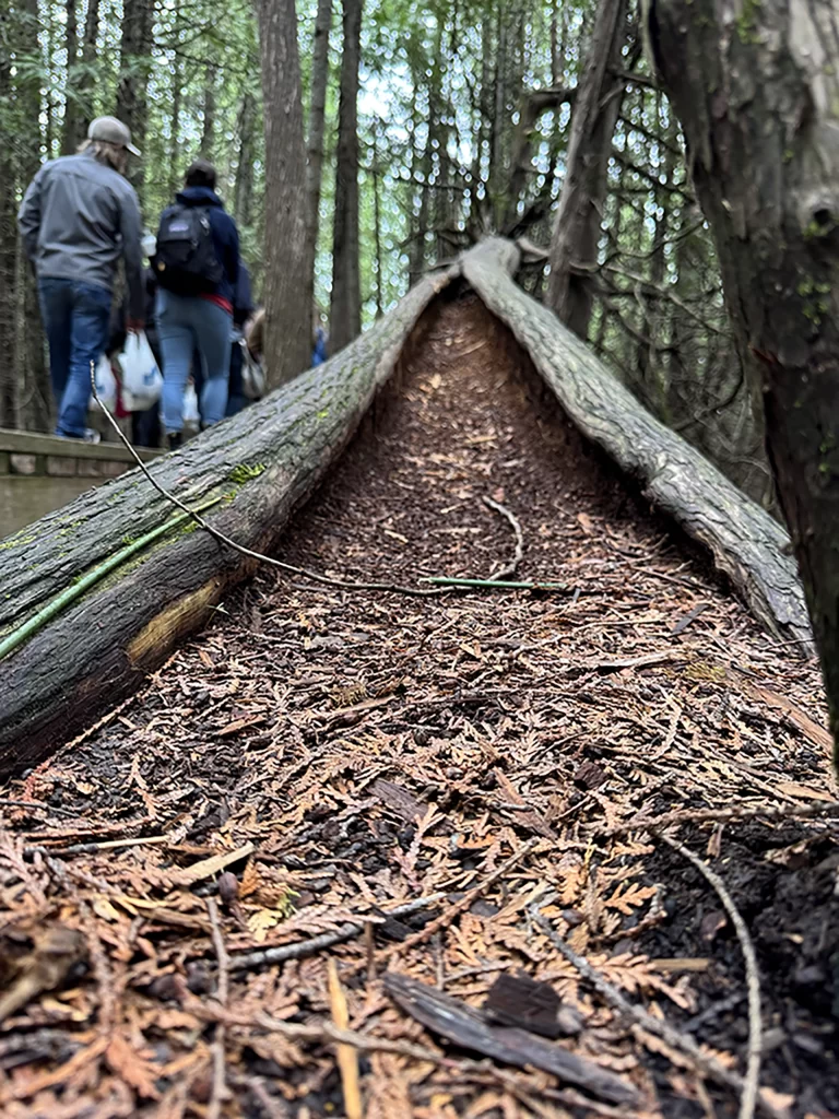 Picture of 1JustCity staff walking the Brokenhead Wetland Interpretive Trail for an outing.