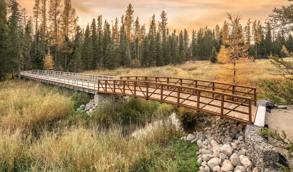 A beautiful orange wooden bridge spans a creek in Riding Mountain National Park. It's autumn, and the leaves around the bridge are turning colour.