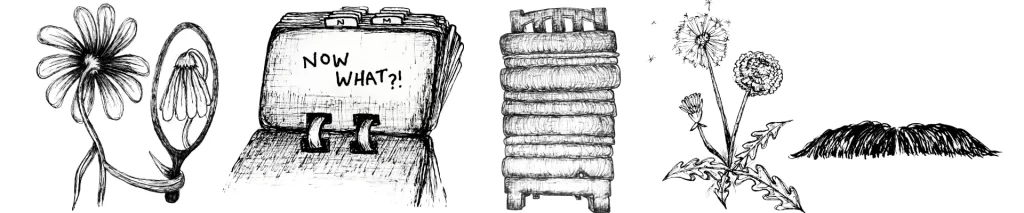 Drawings of a flower looking at a wilted reflection, a Rolodex saying "now what?", multiple mattresses on a pea, dandelions, and a moustache. 
